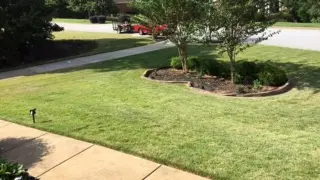 Mowed front lawn with a trimmed planting bed